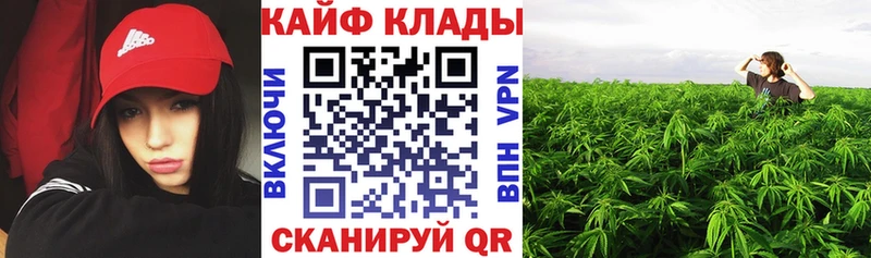 Купить закладку Лесосибирск СК COCAIN ГАШИШ Бошки Шишки