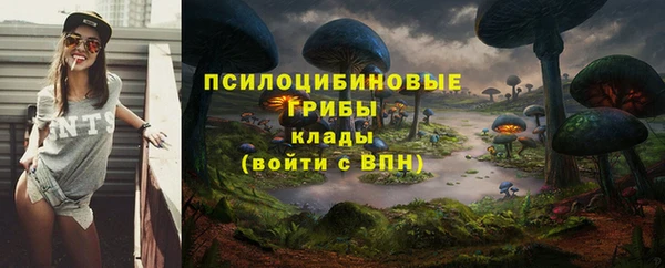 соль ск Алексеевка