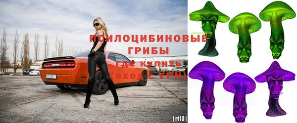 соль ск Алексеевка