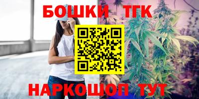 гашик Канаш