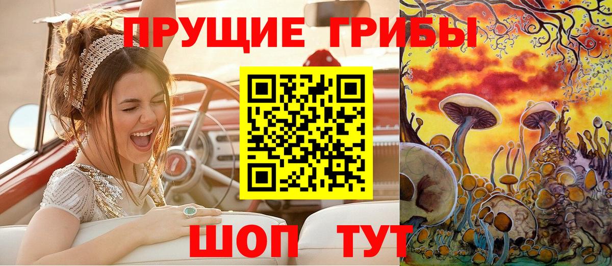 Галлюциногенные грибы GOLDEN TEACHER  Галлюциногенные грибы GOLDEN TEACHER  закладки  Лесосибирск 