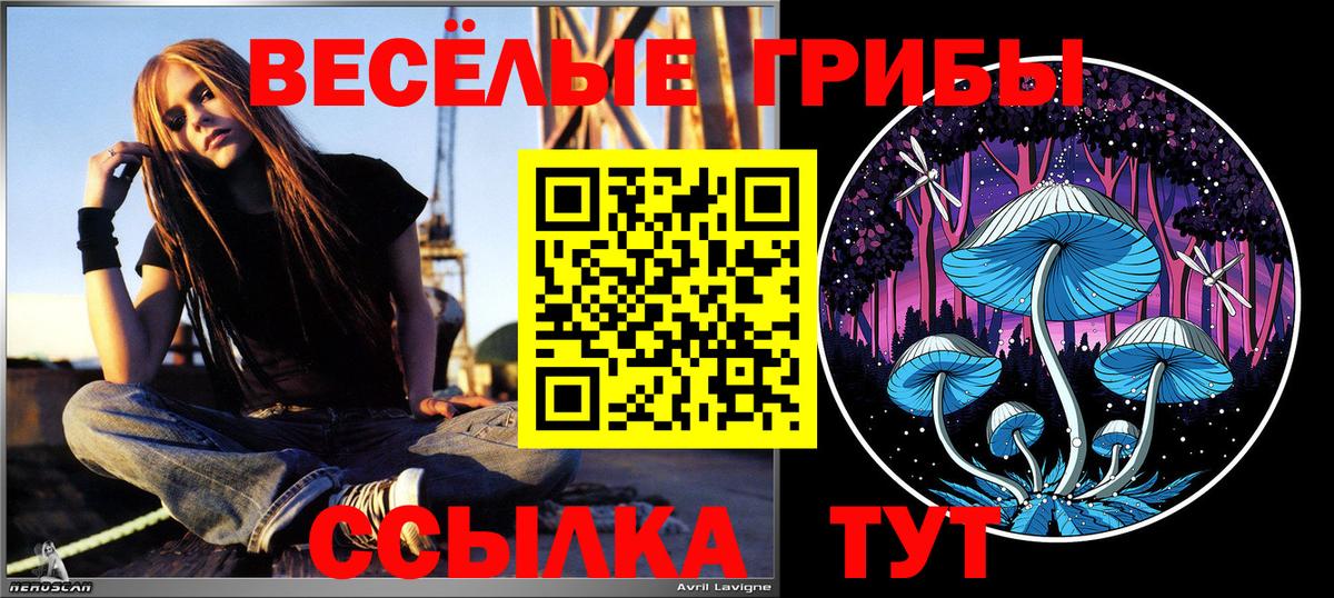 Псилоцибиновые грибы мухоморы Лесосибирск