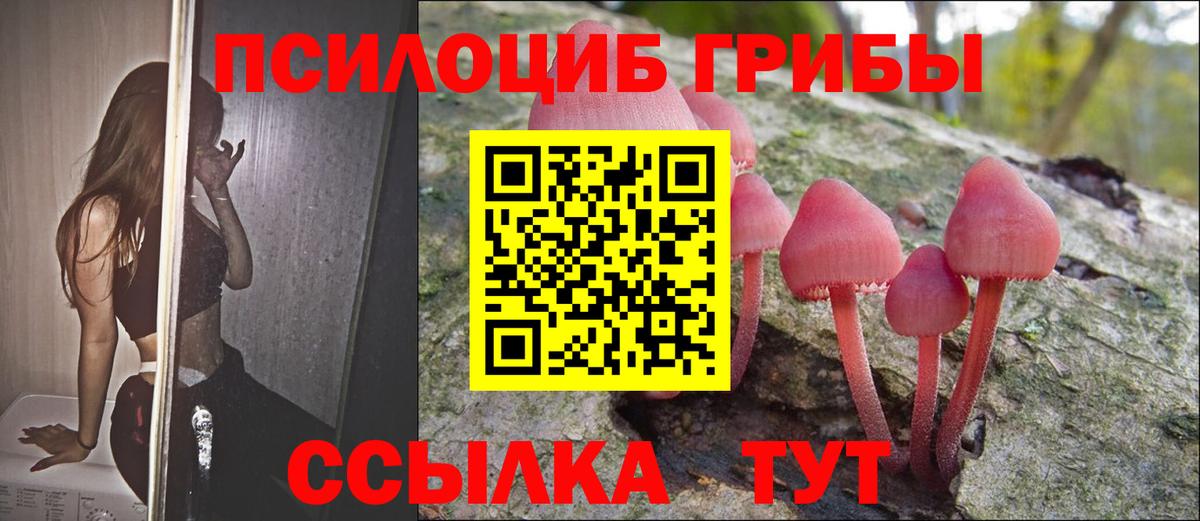 Псилоцибиновые грибы Psilocybine cubensis  Вход с VPN  Лесосибирск 